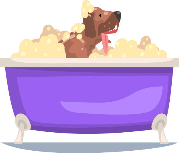滑稽的狗在洗澡，滑稽的动物在洗澡图片下载