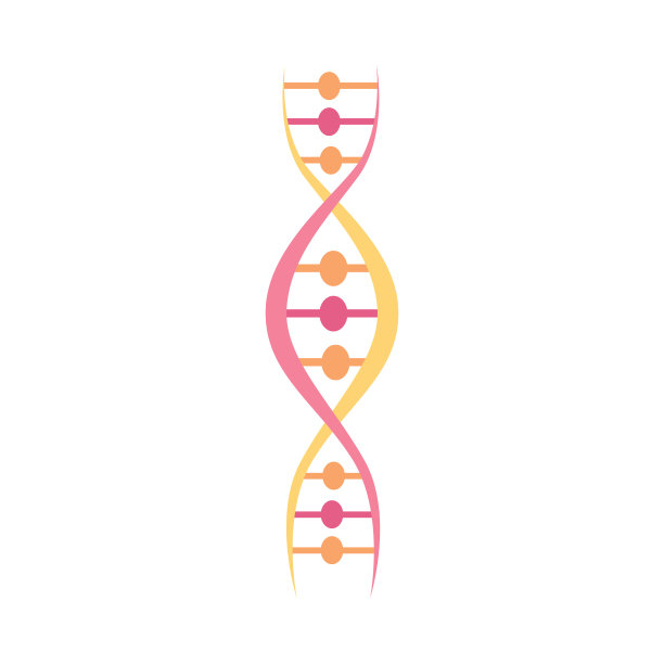 DNA分子结构或螺旋扭曲图片下载