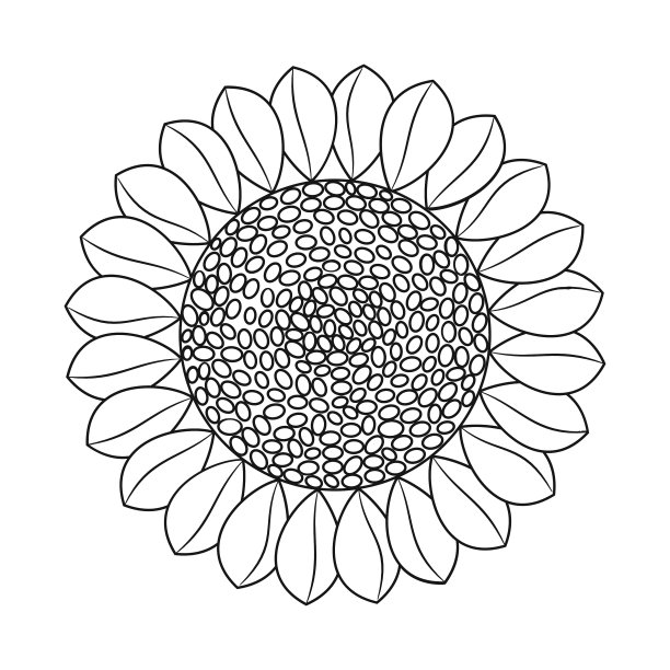 设计向日葵和阳光图标集图片下载