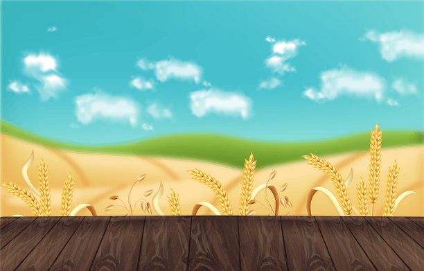 燕麦田现实的背景模型图片下载