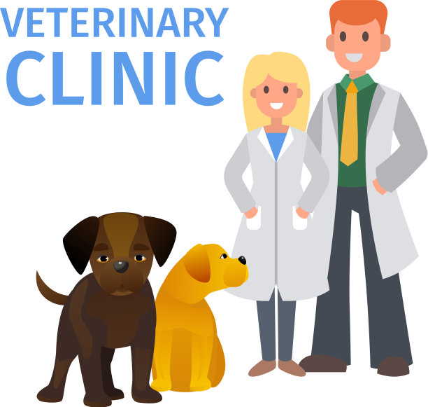 兽医工作人员带着可爱的动物横幅图片下载
