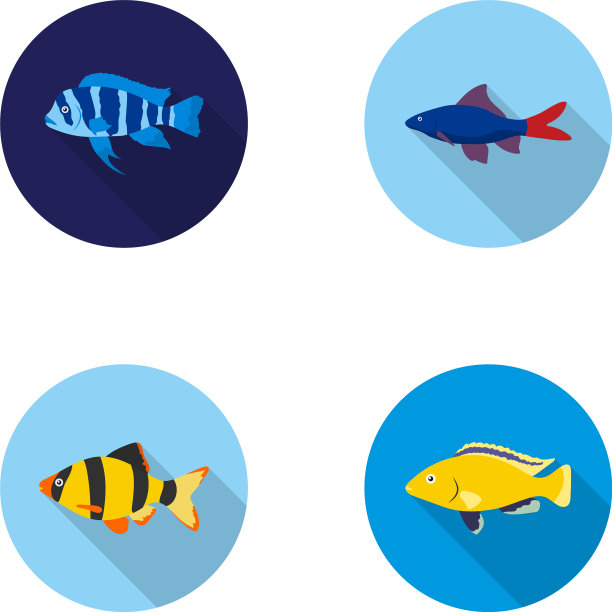 博蒂亚小丑食人鱼、慈鲷科蜂鸟、孔雀鱼图片下载