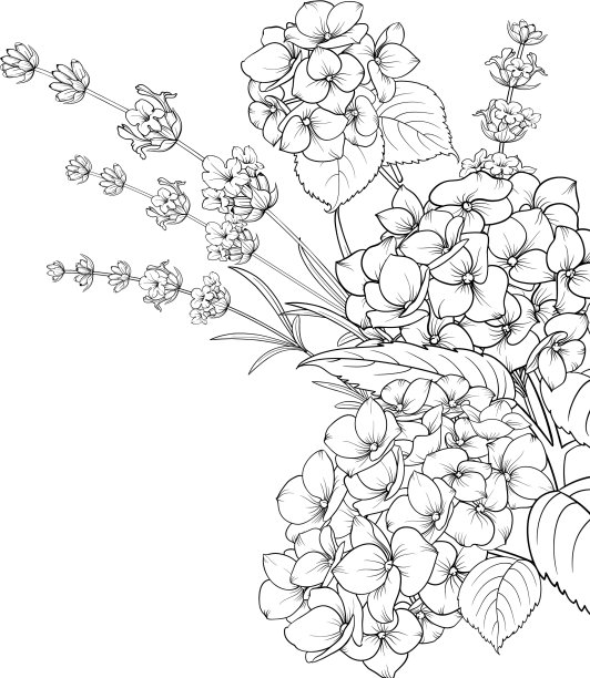 孤立的薰衣草和绣球花的花花环图片下载