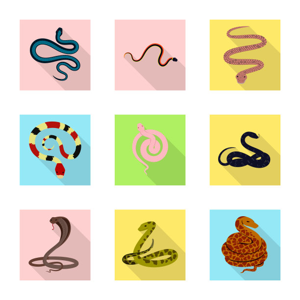 皮肤和爬行动物的标志图片下载