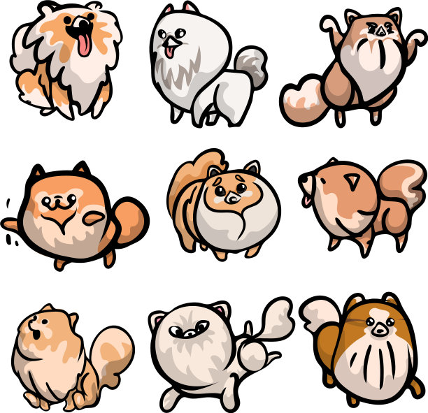 设置可爱的spitz狗在不同的角色图片下载