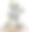 野生考拉在丛林场景图片下载