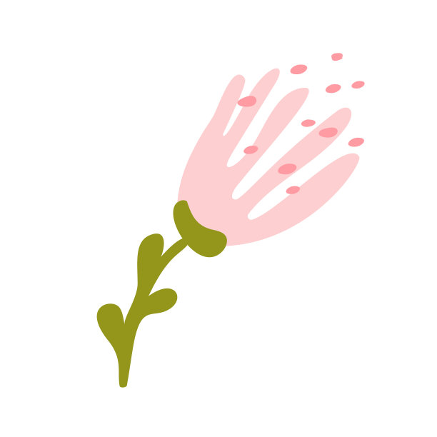 可爱的孤立花在白色的背景图片下载