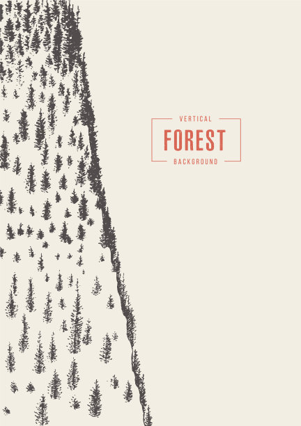 垂直松林素描图片下载