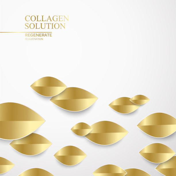 生态金叶孤立在白色背景图片下载