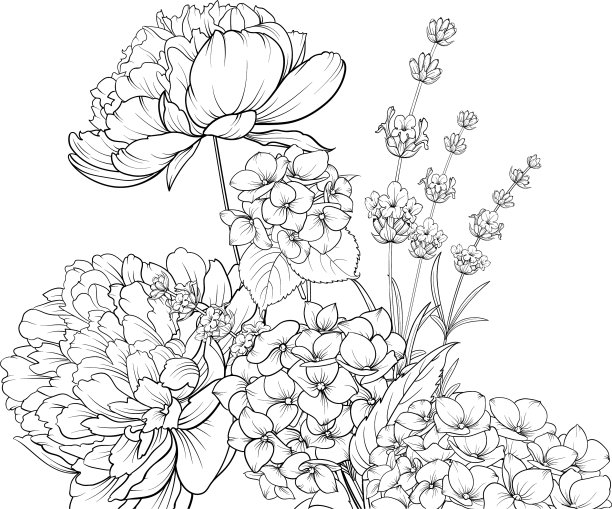 孤立的薰衣草和绣球花的花花环图片下载