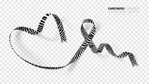 类癌意识月斑马条纹图片下载