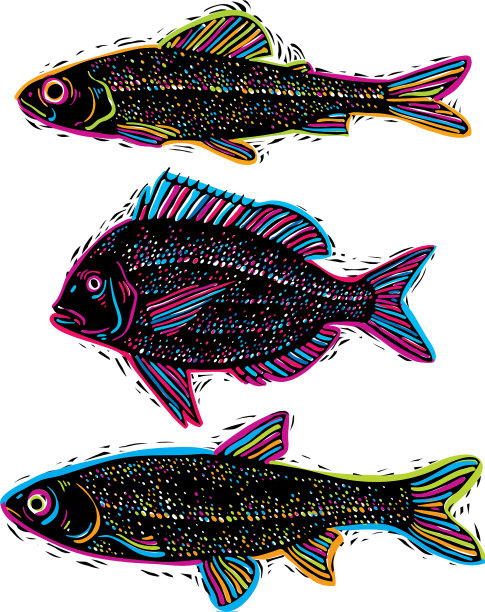 一组不同水下绘制的鱼图片下载