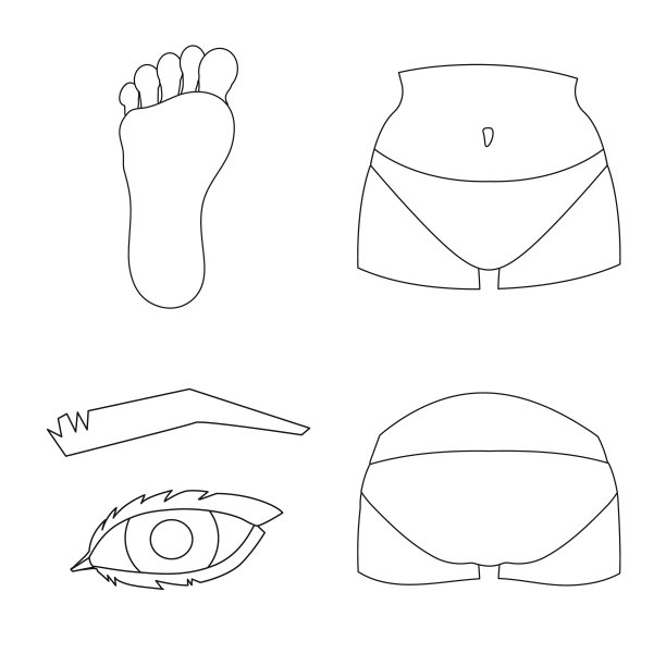 身体和部分标志集图片下载