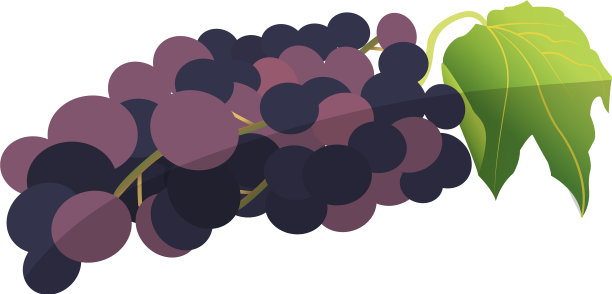 健康的水果设计图片下载