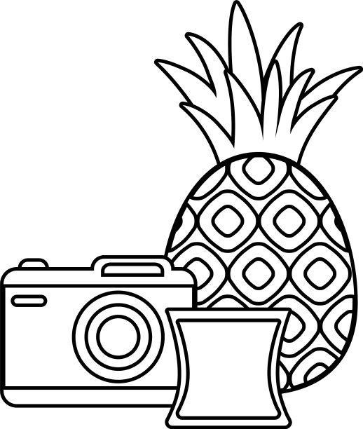 相机配菠萝和果汁图片下载