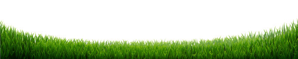 绿草边界隔离图片下载