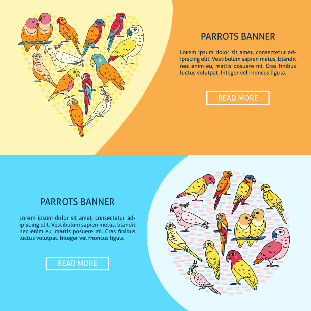 明亮的鹦鹉飞行模板在平坦的风格图片下载