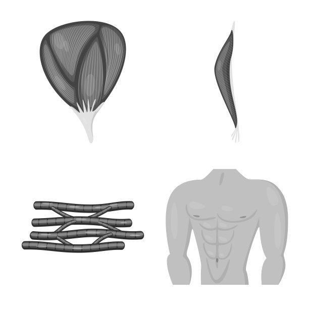 孤立物体人体符号集图片下载