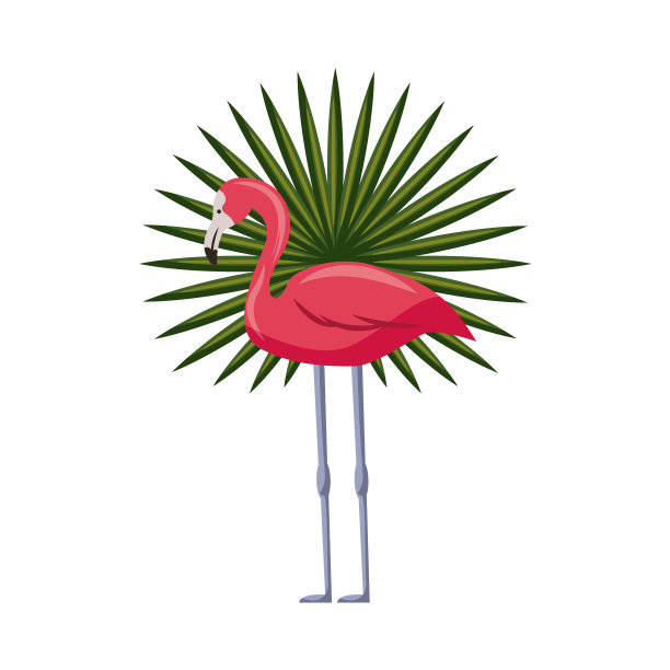 粉红色的火烈鸟图标图片下载