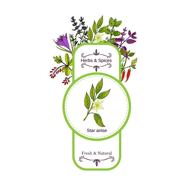 复古香草和香料标签收集明星图片下载
