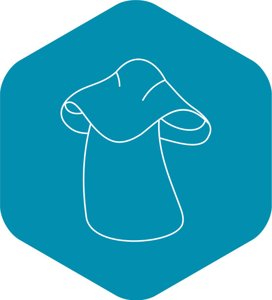 牛肝菌图标轮廓风格图片下载