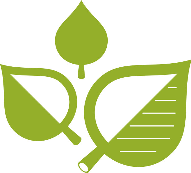 绿叶孤立在白色背景健康图片下载