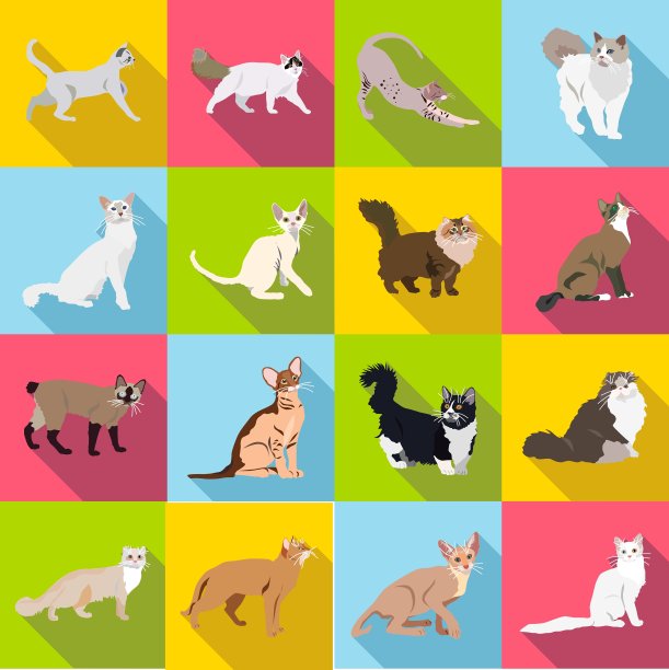 设置不同品种的猫与长影子图片下载