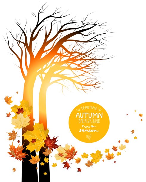 秋天的树叶和树的剪影图片下载