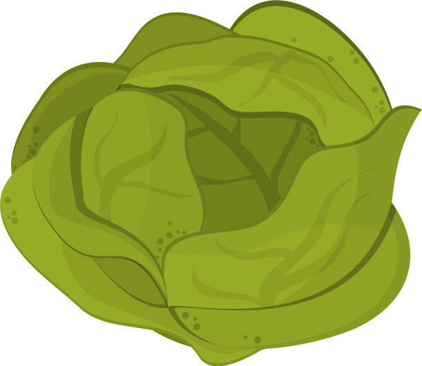 生菜蔬菜食品符号图片下载