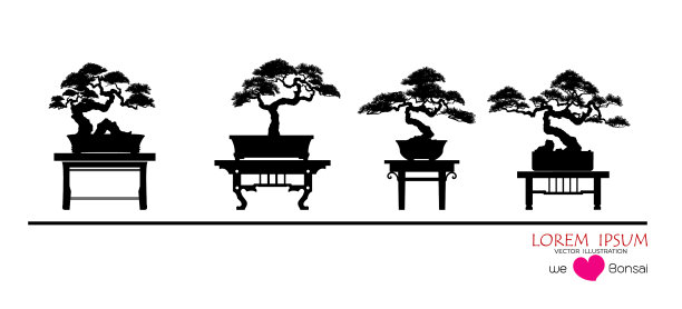 的盆景图片下载