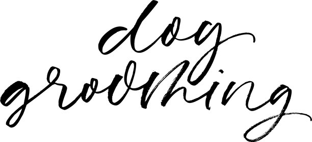 用刷子手写的狗狗梳理短语图片下载