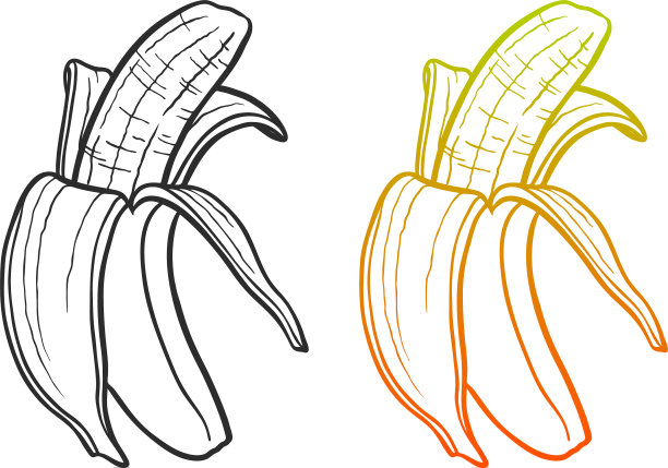 香蕉黑色和颜色梯度轮廓图片下载