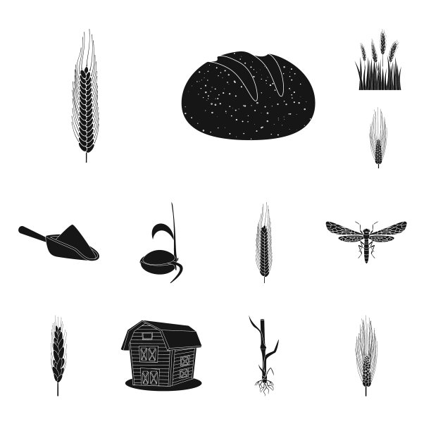 黑麦和黑麦植物图标的设计图片下载