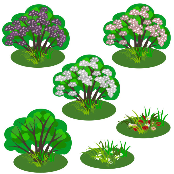 让灌木丛绽放夏日的花朵图片下载