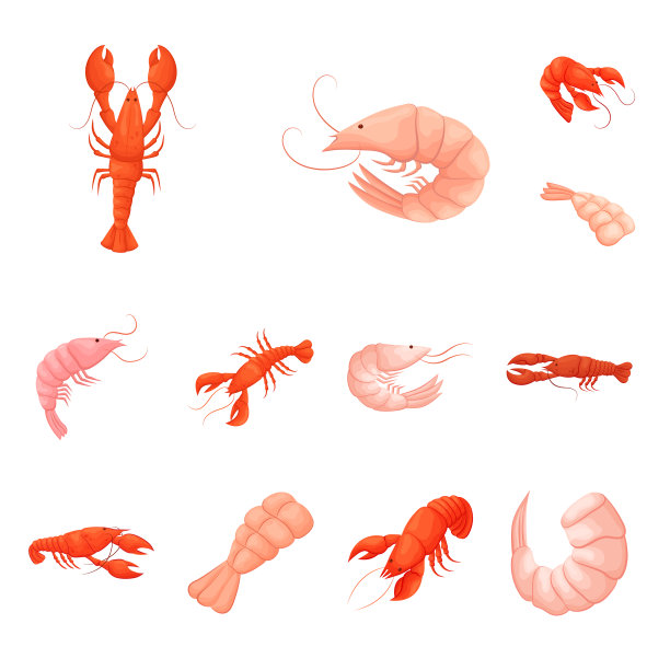 孤立对象的虾和蟹的符号集图片下载