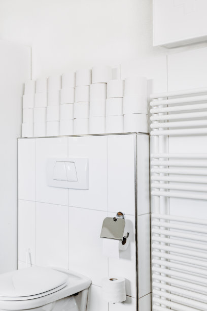 很多卫生纸卷堆在浴室里。图片下载