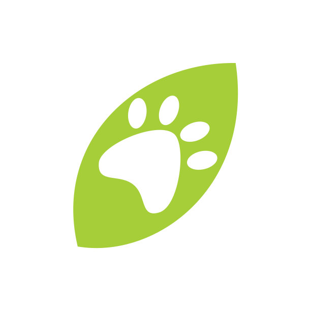 叶子标识设计模板孤立图片下载