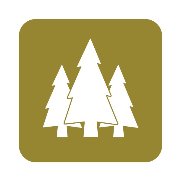云杉图标图片下载