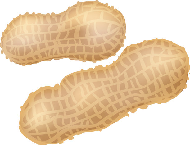 花生图标卡通风格图片下载