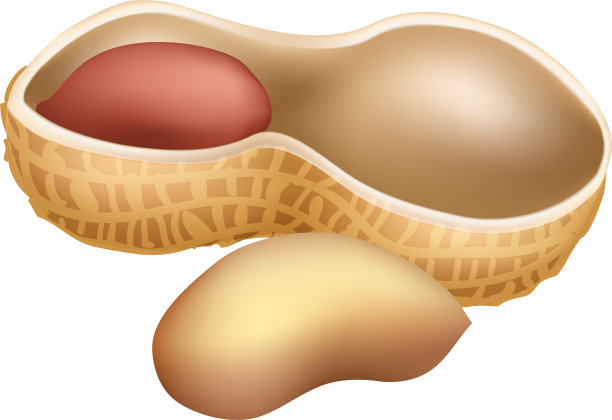 半花生图标卡通风格图片下载