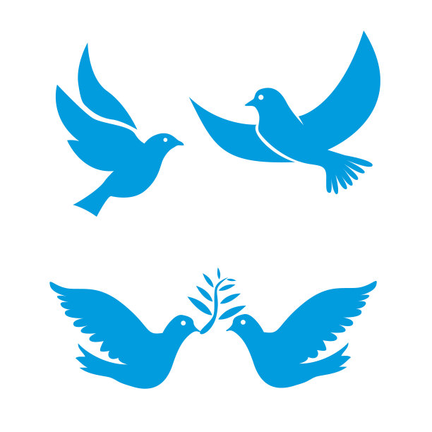 设置飞鸟标志孤立在白色上图片下载