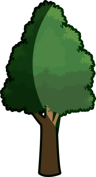 树的叶子粗糙树皮干阴影图片下载