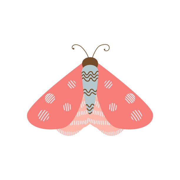 美丽多色的蝴蝶有着不寻常的色彩图片下载