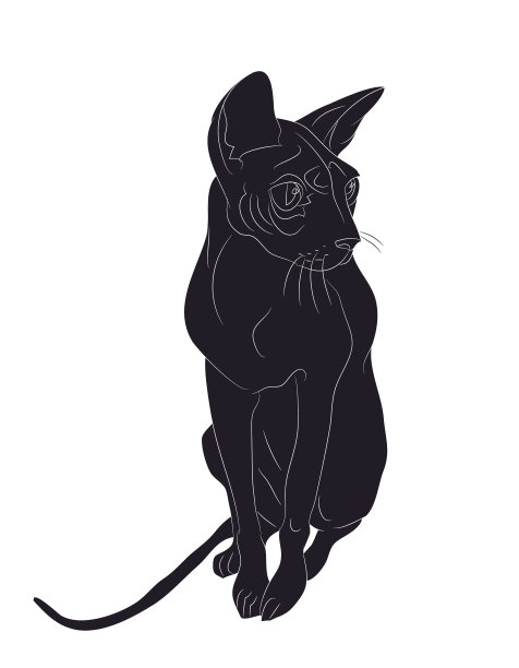 一只坐着画剪影的猫图片下载