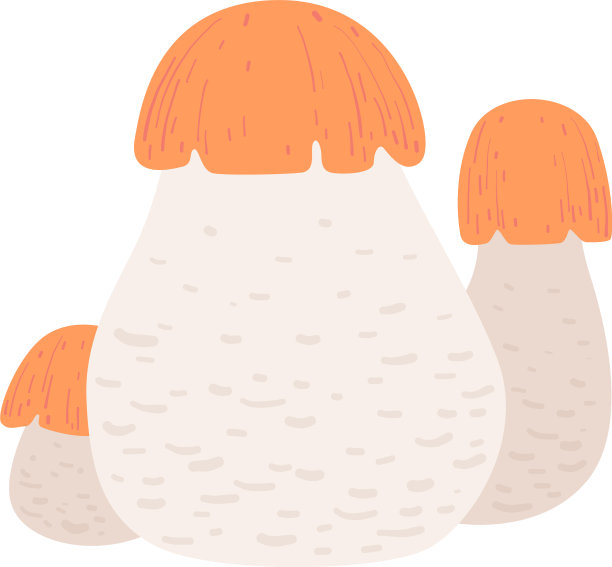 森林食用白杨蘑菇野生有机产品图片下载