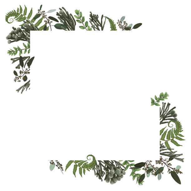 卡片花卉设计与绿色水彩图片下载