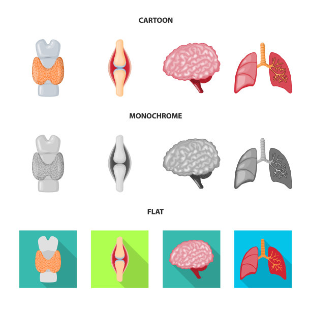 生物和科学符号的设计图片下载