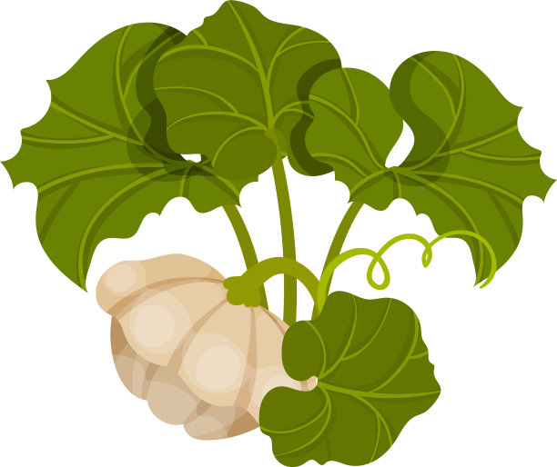 有机食品概念图片下载