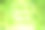 森林背景与阳光透过图片下载