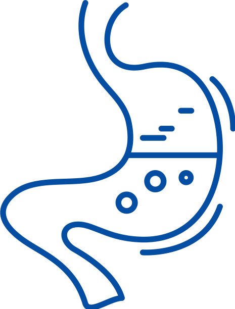 胃线图标概念胃平图片下载